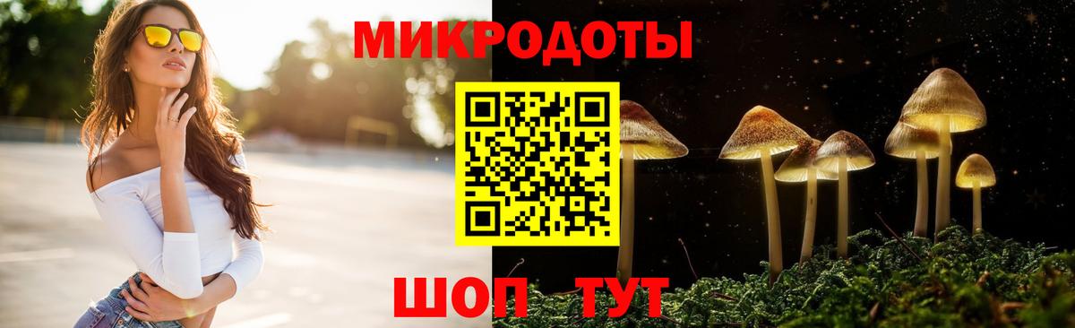 Псилоцибиновые грибы Psilocybine cubensis  Вход с VPN  Нижнеудинск 
